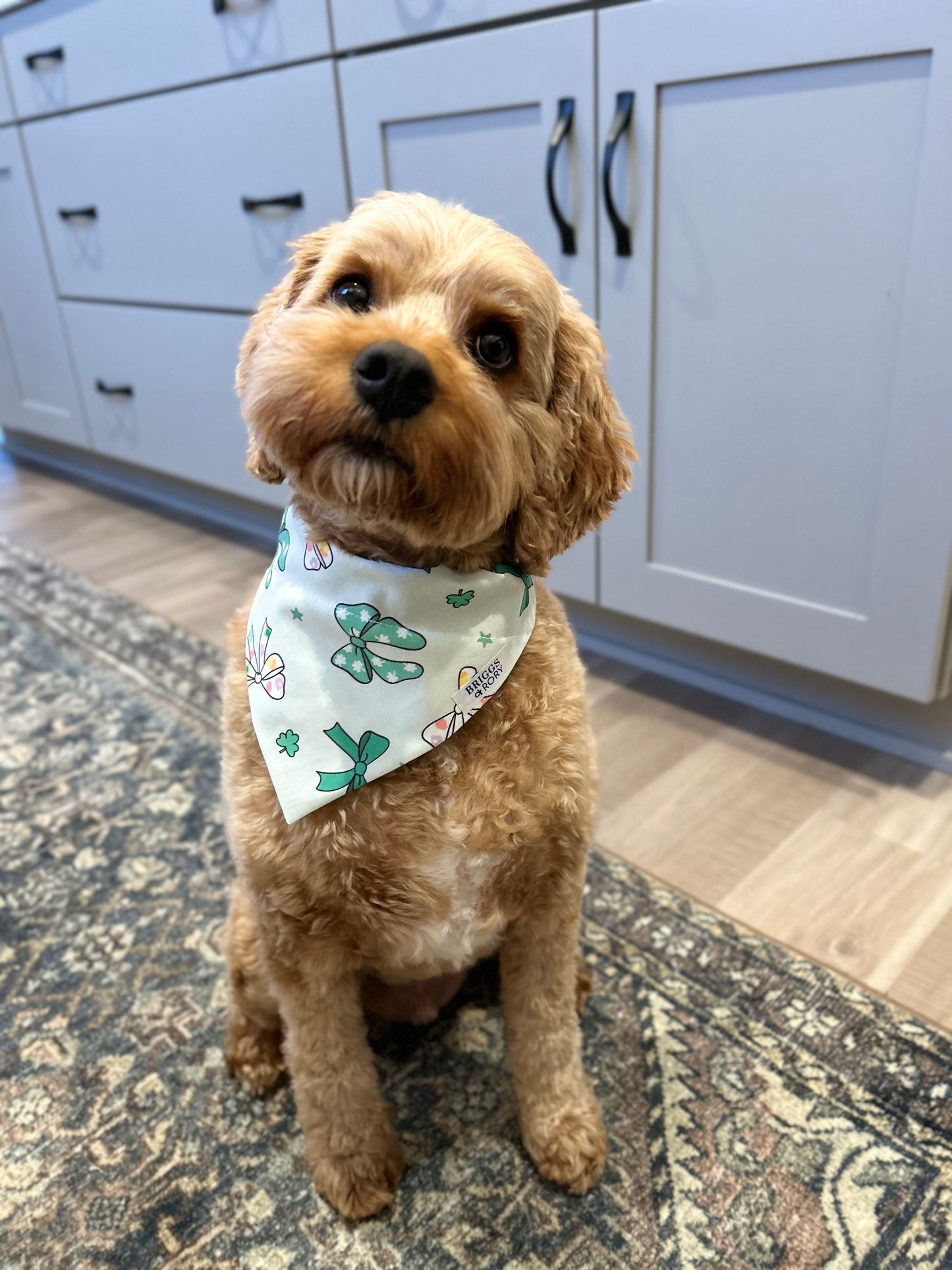 St. Patricks Day Bows Dog Bandana
