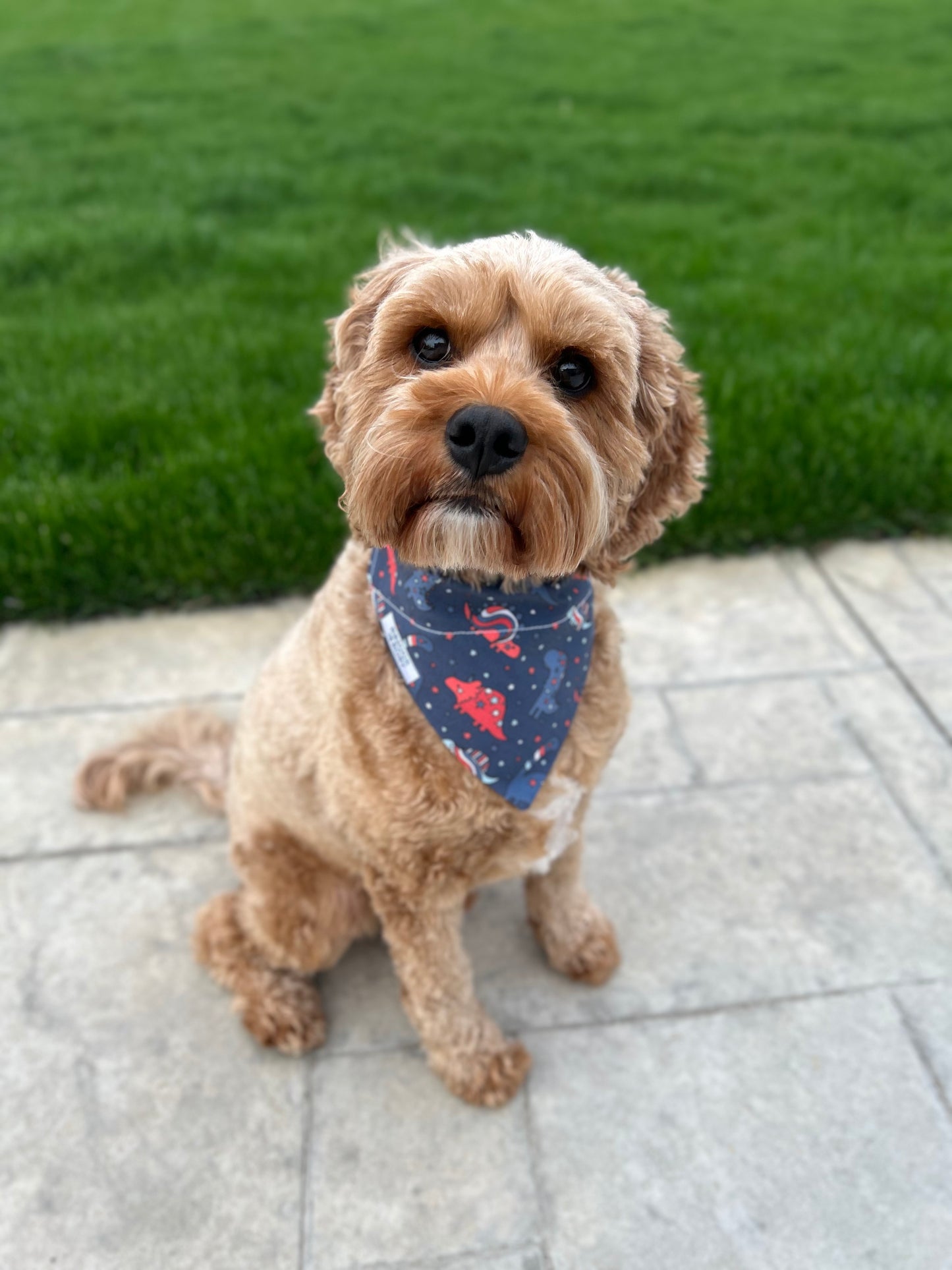 4th of July Dinosaur Dog Bandana