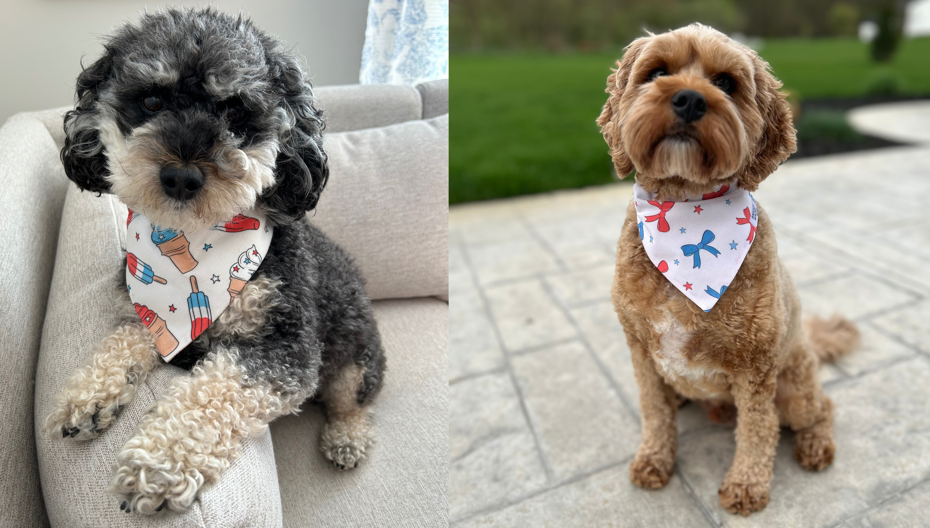 4th of July Dog Bandanas