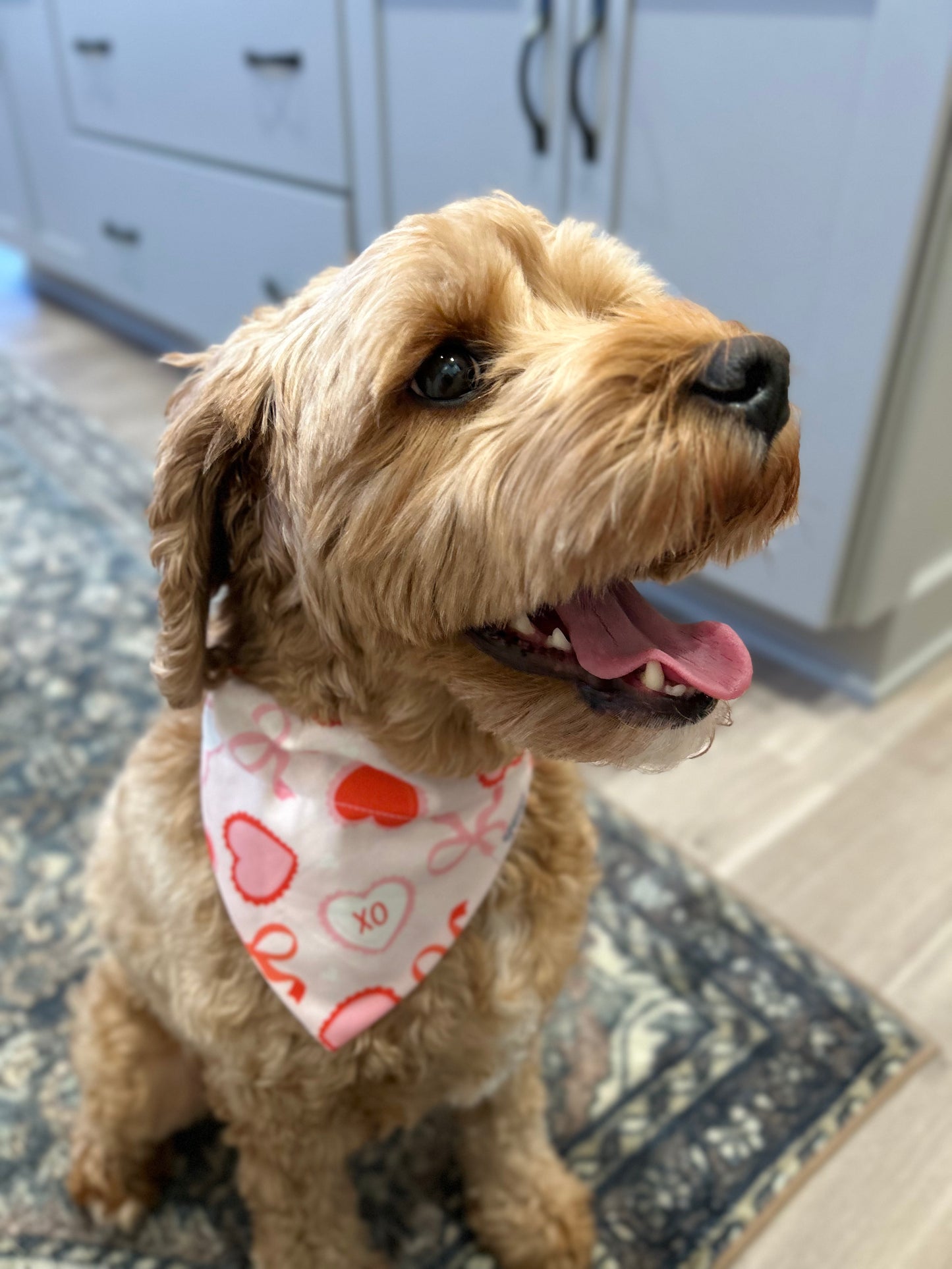 Valentines Day Bows Dog Bandana