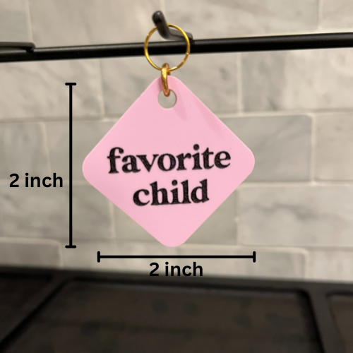 Favorite Child Pet Tag