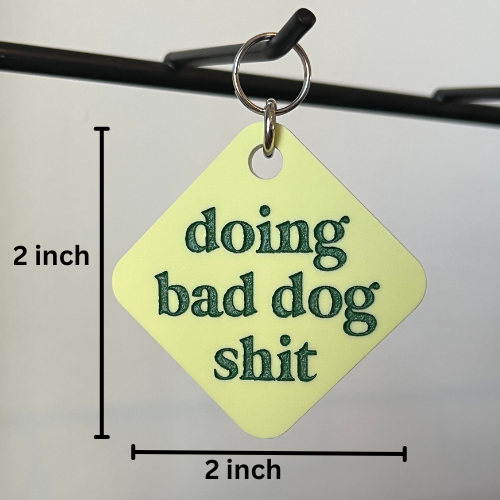 Doing Bad Dog Sh*t Pet Tag