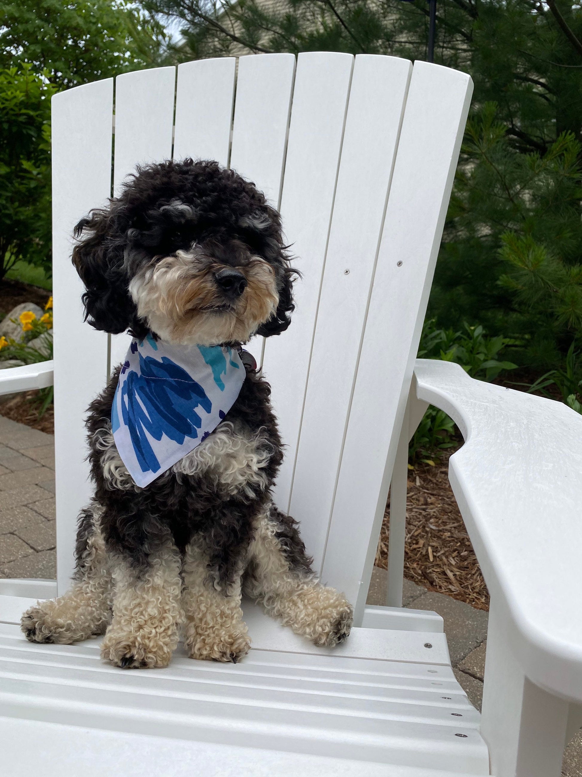 Blue Modern Abstract Over the Collar Dog Bandana