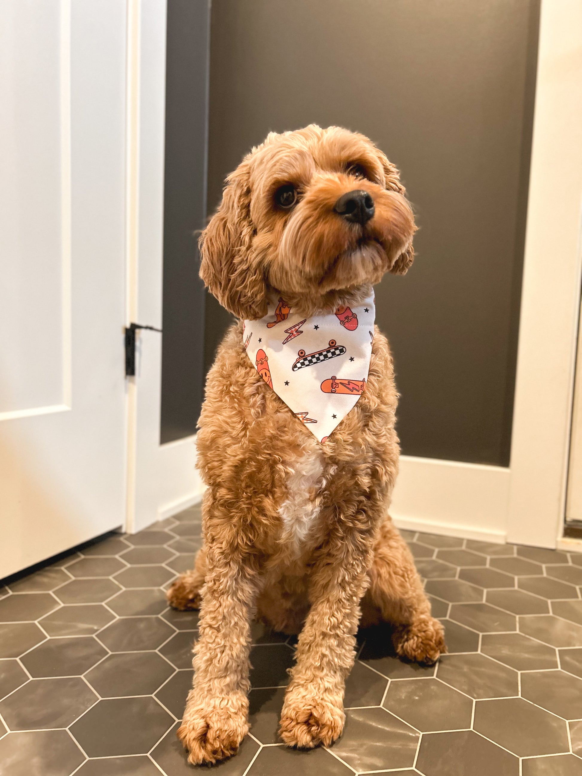 Ballin' Basketball Dog Bandana - Orange Cotton Adjustable Pet Scarf, One Size