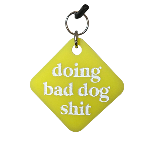 Doing Bad Dog Sh*t Pet Tag