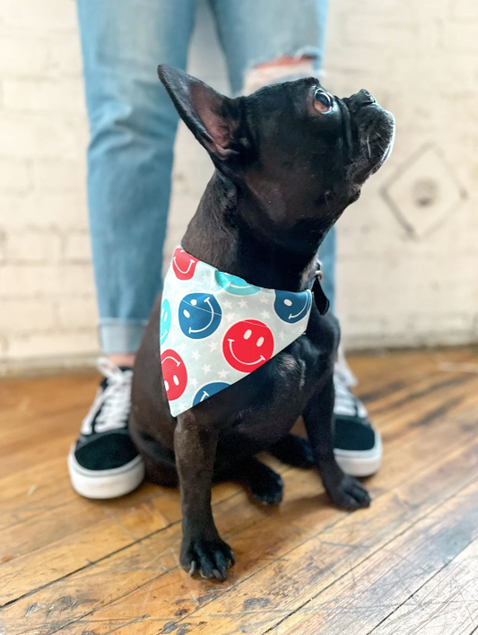 4th of july bandana for dogs sales
