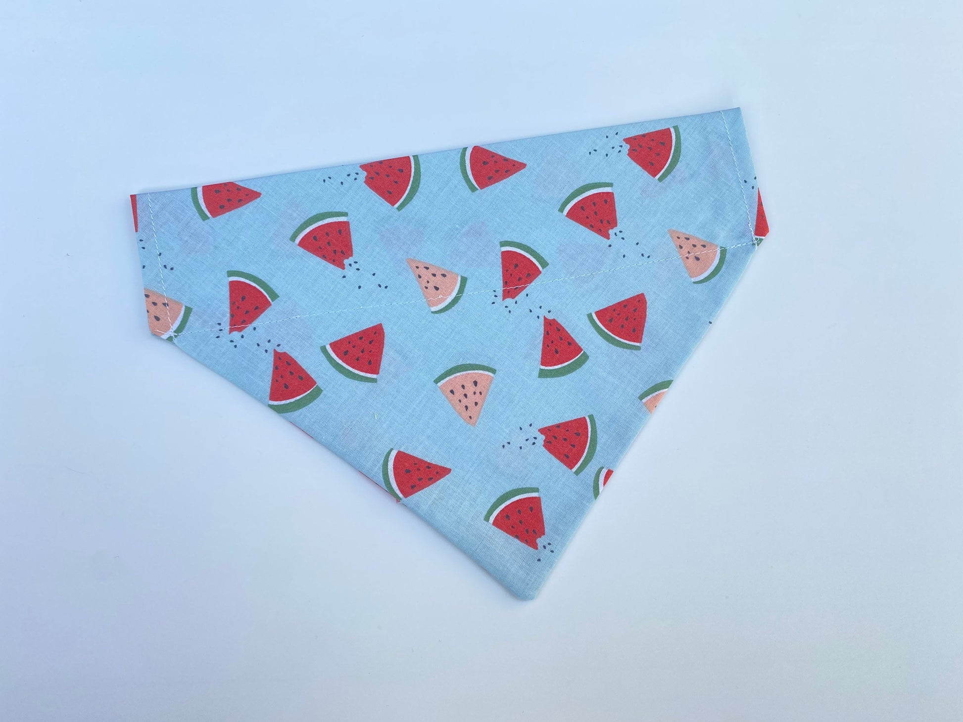 Watermelon Slices Over the Collar Dog Bandana
