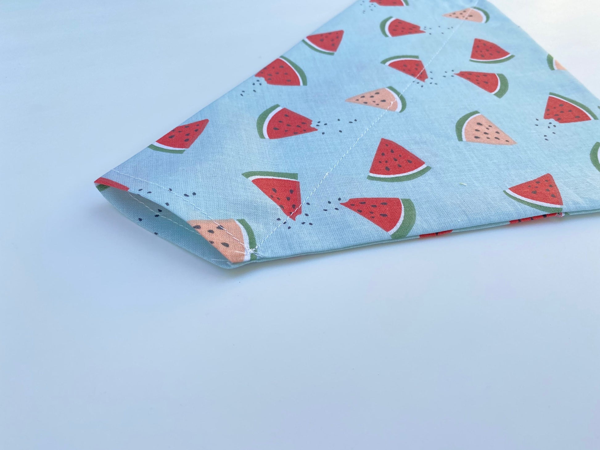 Watermelon Slices Over the Collar Dog Bandana