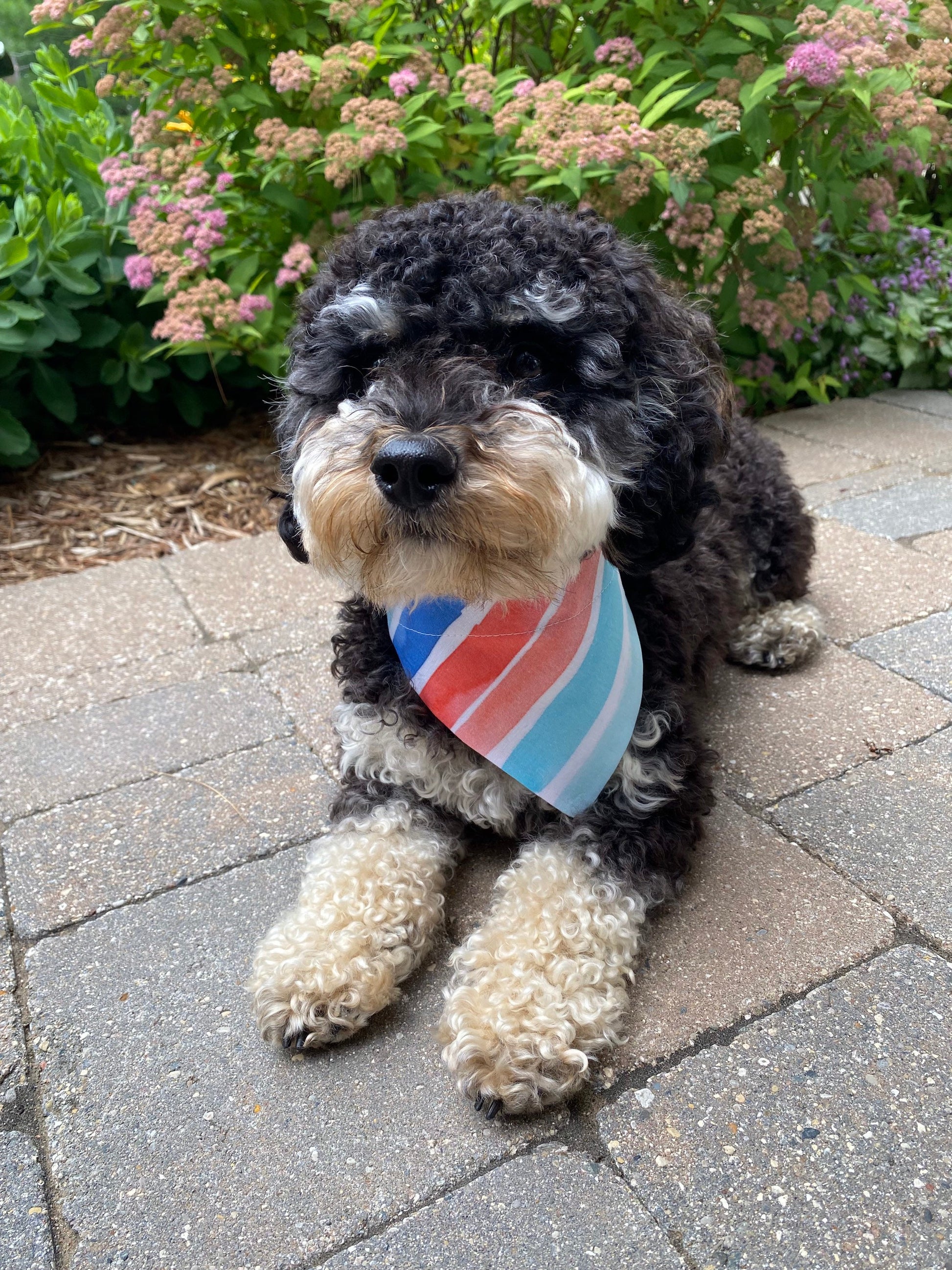 Dog wearing Watercolor Stripes Dog Bandana