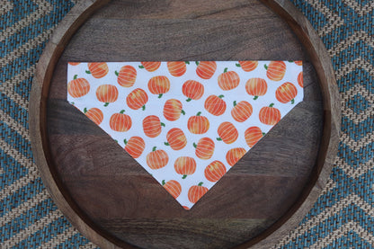 Watercolor Pumpkin Over the Collar Dog Bandana
