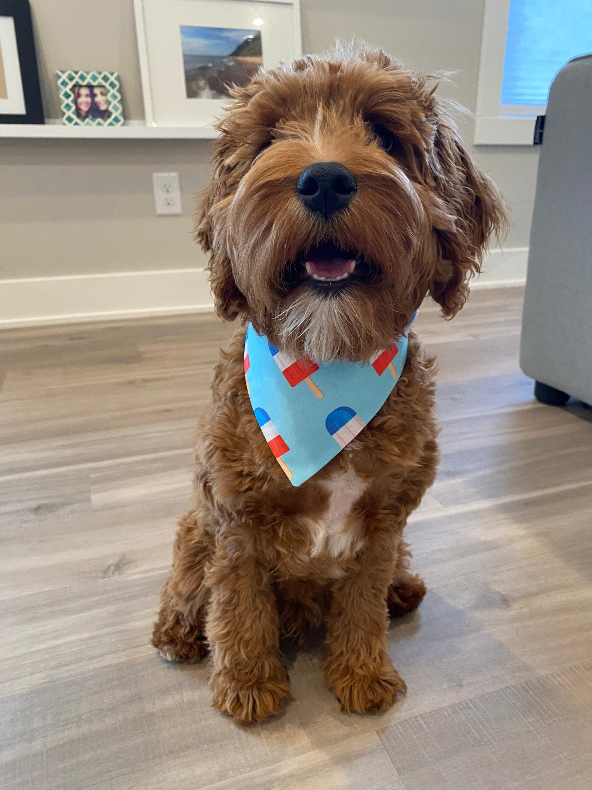 Dog Wearing Popsicle Dog Bandana