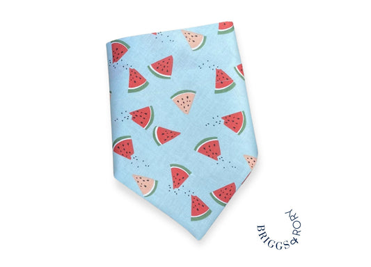 Watermelon Slices Dog Bandana