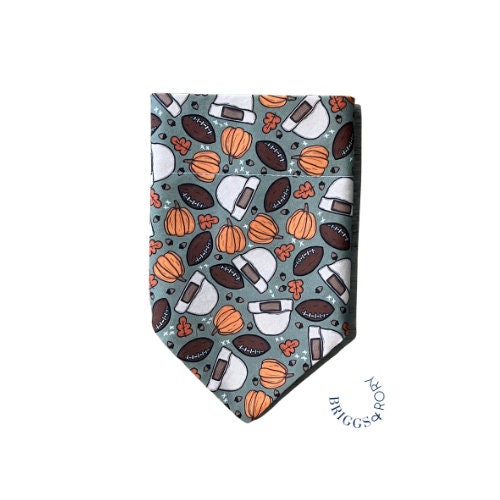 Fall Beanie Football Dog Bandana