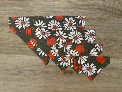 Fall Daisy Pumpkin Dog Bandana